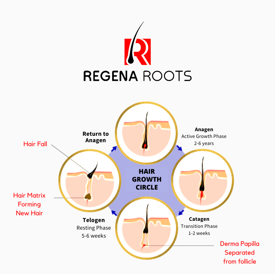 Natural Hair Regrowth Treatment | Regena Roots®